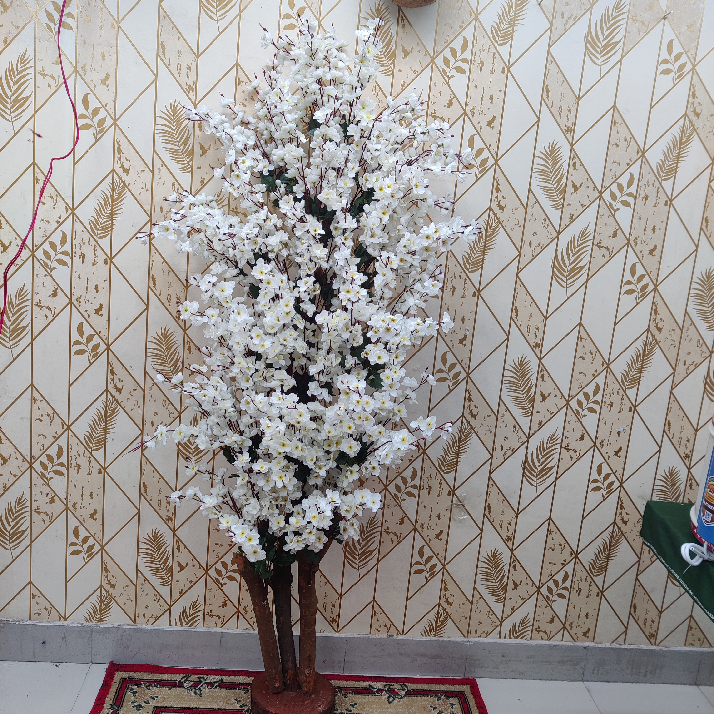 সাদা কালার চেরি ফুল সাড়ে ৬ ফিট ৪৫০০ ৳