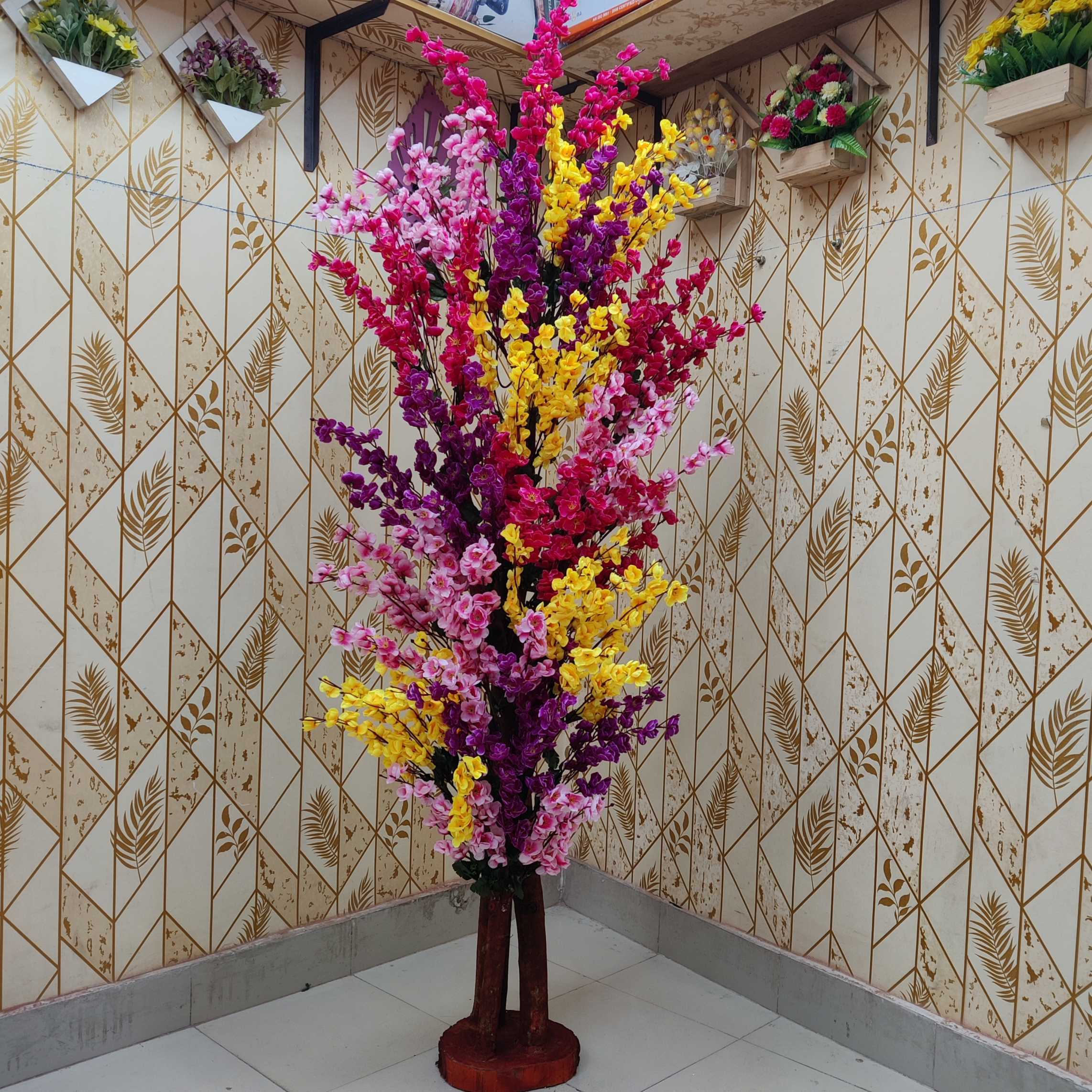 মাল্টি কালার চেরি সাড়ে ৬ ফিট ৪৫০০ ৳