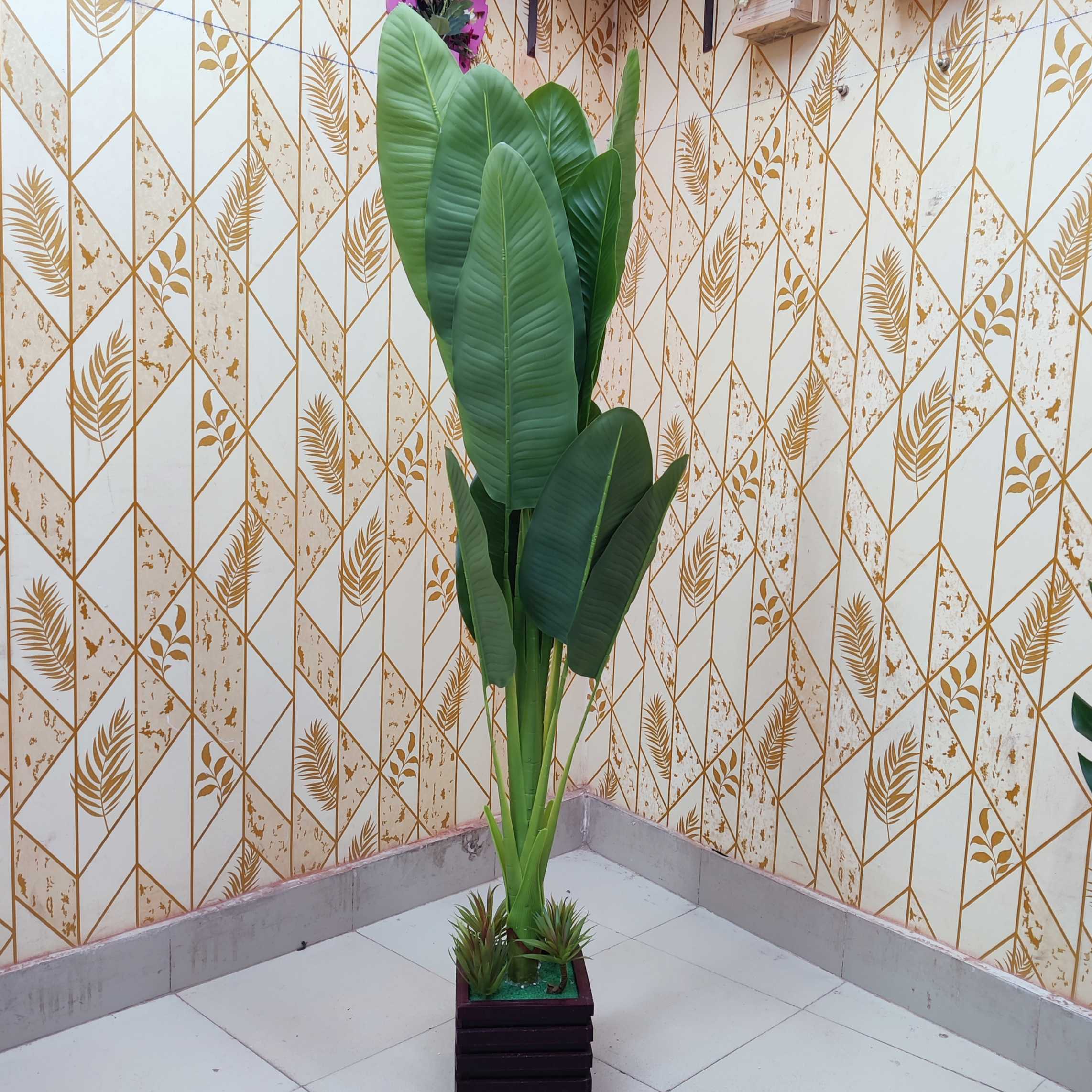 কলা গাছ ৩৬০০৳