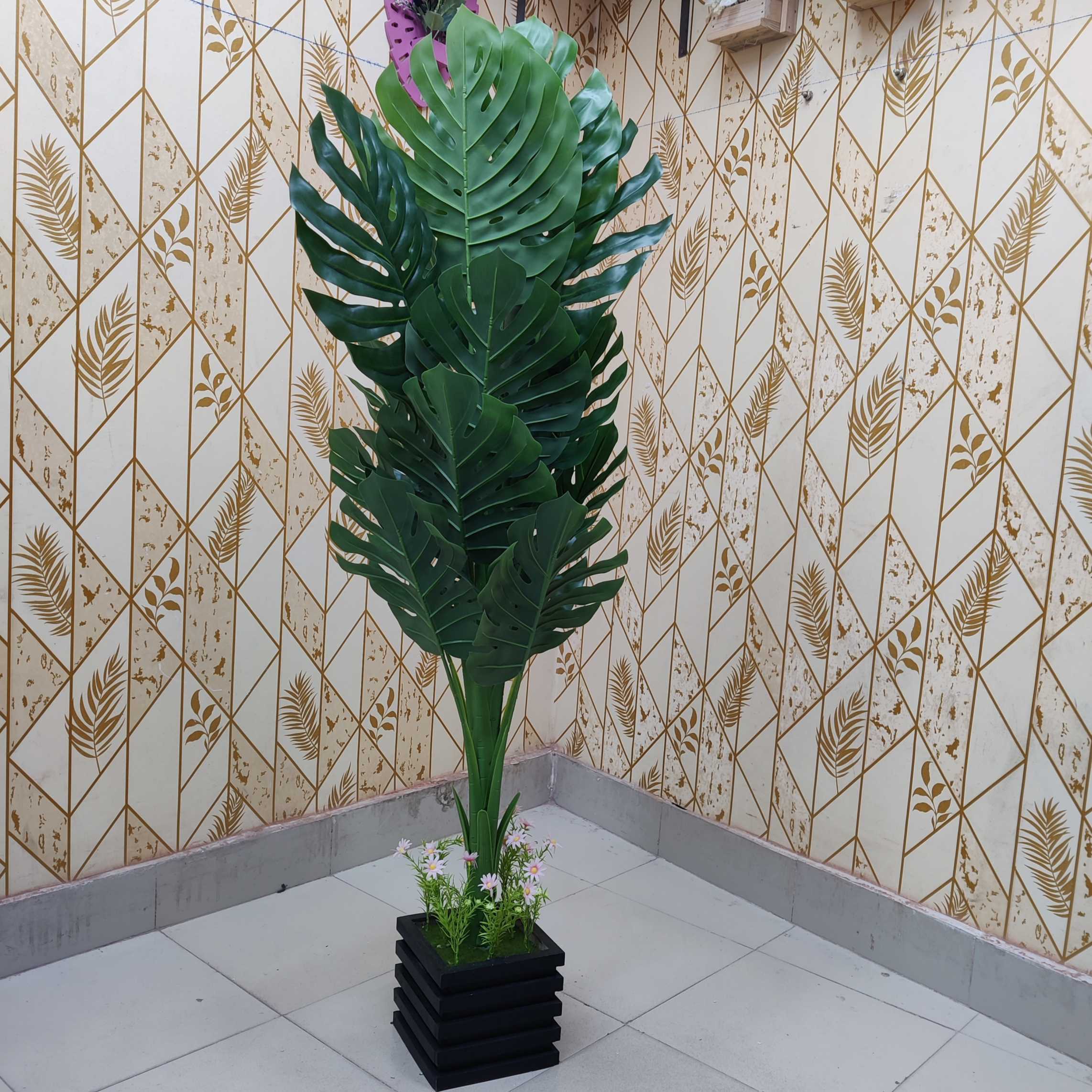 মনস্টার গাছ ৩৬০০ ৳