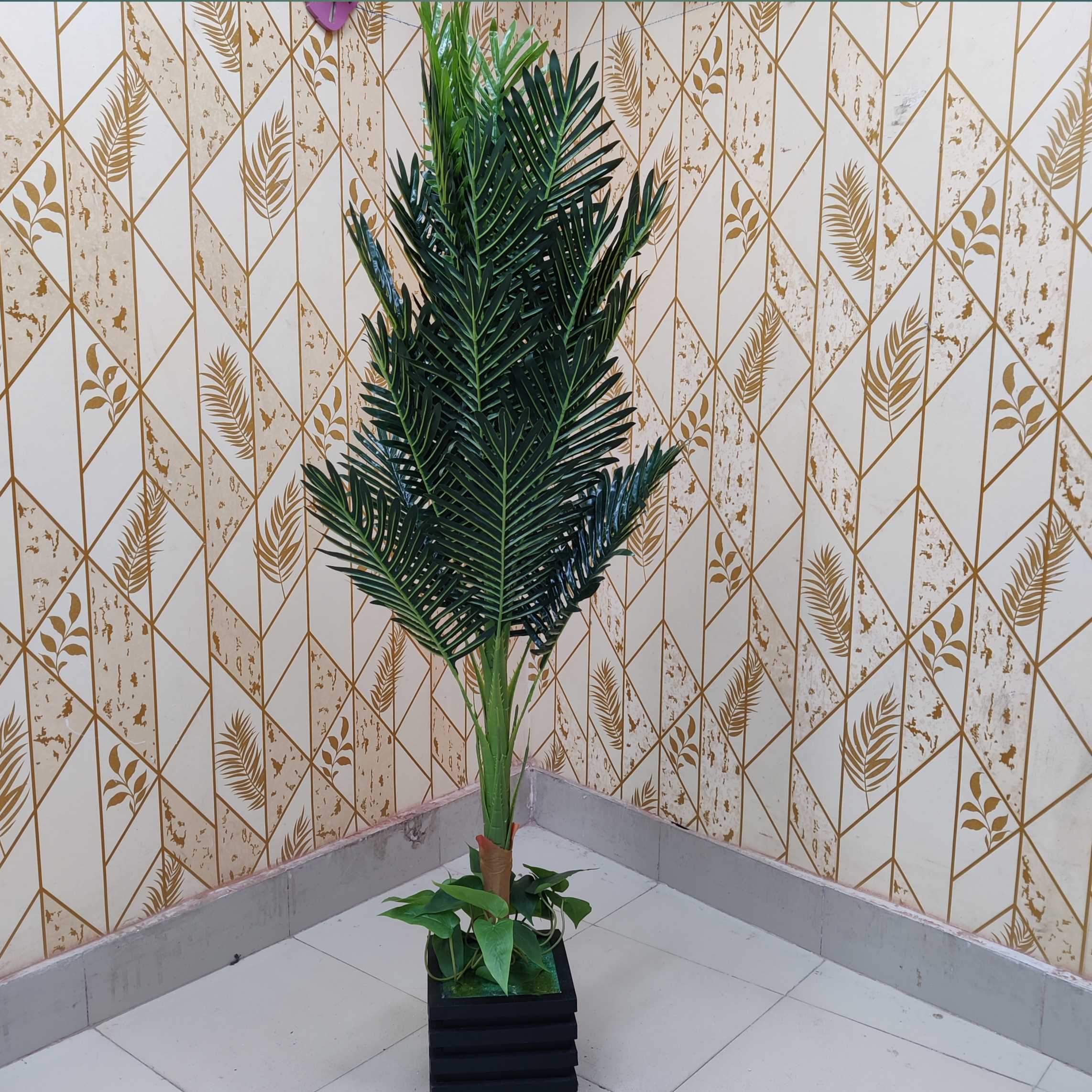 খেজুর পাতা গাছ দাম ৩০০০৳