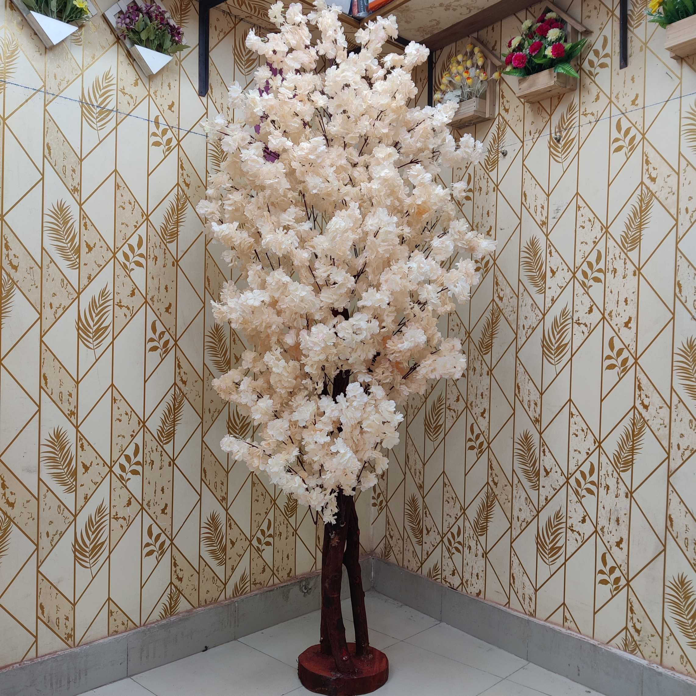 বাগান বিলাস  গোল্ডেন কালার  সাড়ে ৬ ফিট ৪৮০০ ৳