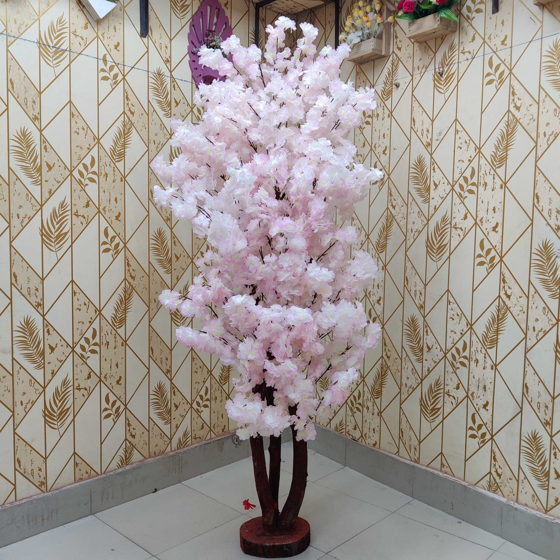 বাগান বিলাস সাদা কালার ৩৮০০ ৳