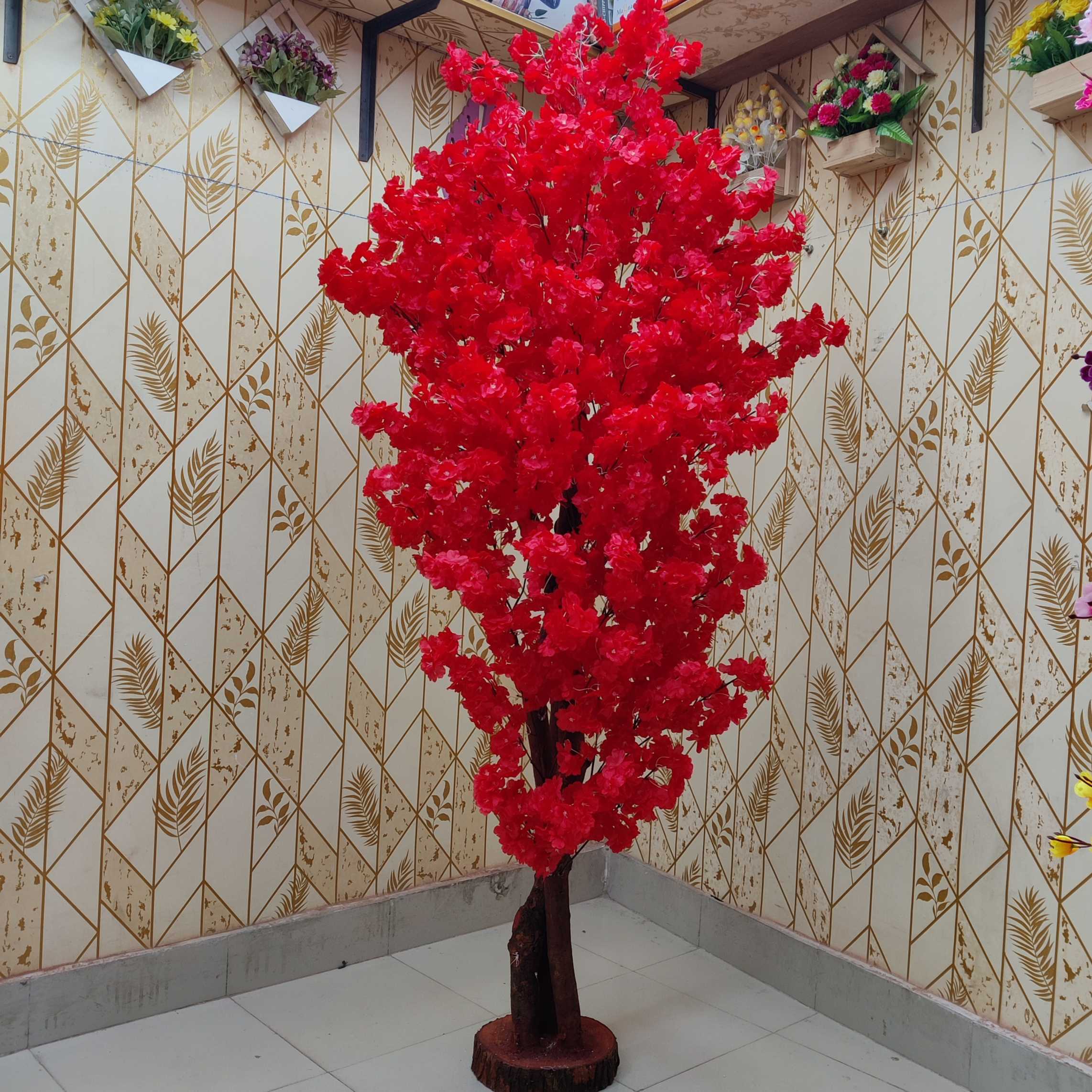 লাল কালার বাগান বিলাস ৪৮০০৳